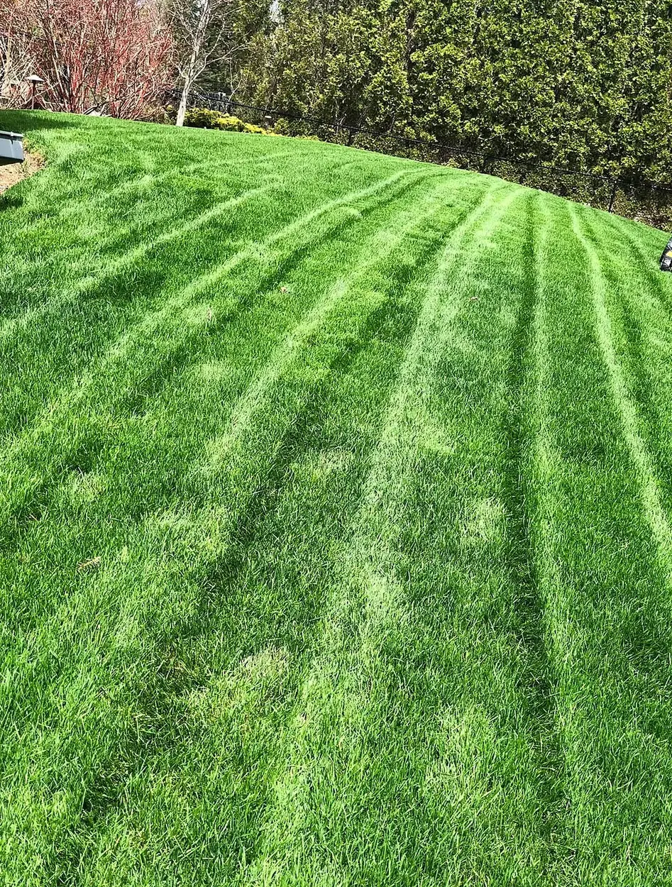 Full residential grounds maintained by Premier Contracting