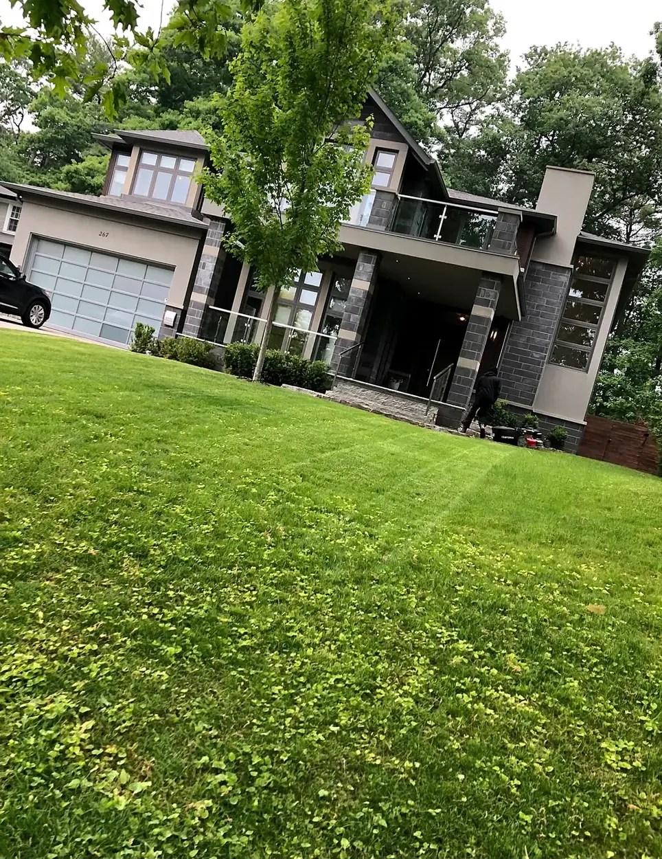 Freshly cut and striped residential lawn